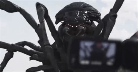 Bande Annonce Et Affiche De Big Ass Spider Actu Film