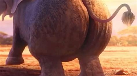 Earth Elephants Butt Youtube