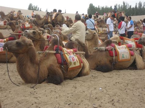 Download and use 10,000+ parking lot stock photos for free. Dunhuang | Tien Chiu