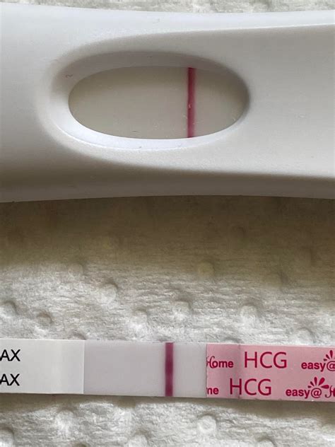12 Dpo Frer And Easy Home Smu Do You See Something Or Am I Losing My