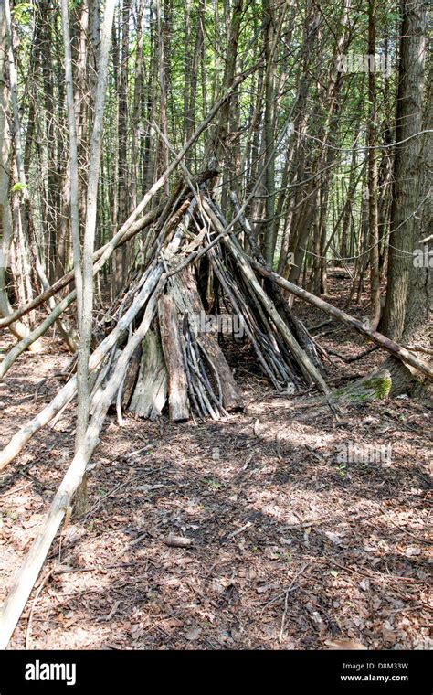 Indian Native American Lean To Or Shelter In The Forest And Woodlands
