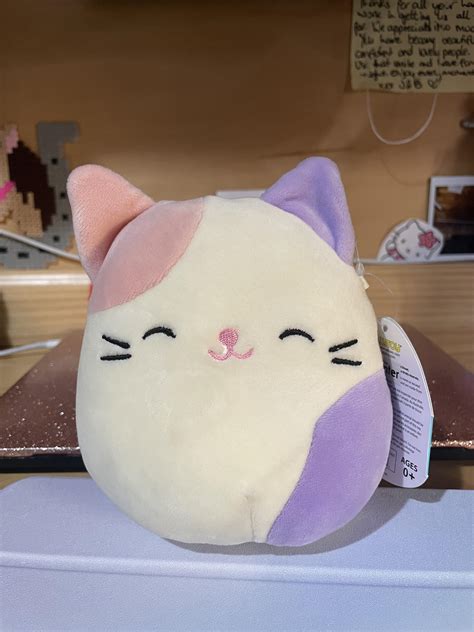 I Finally Have My Dream Squish R Squishmallow