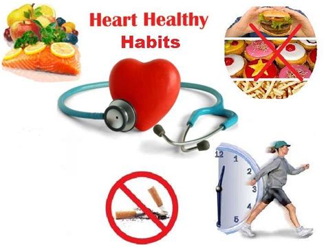 How To Maintain The Circulatory System Healthy Science Online