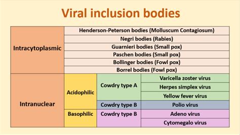 Get Information About Viral Inclusion Bodies