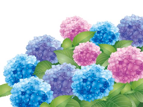 きょう6月7日、気象庁から東北南部の梅雨入りが発表されました。 平年より5日早い梅雨入りとなります。 これを聞いて「あれ？ 」と思った方は多いはずです。 九州北部、中国、四国、近畿の西日本各地の梅雨入りの発表がなかったからです。 梅雨入り・梅雨明け宣言の意味と基準。関東や関西はいつ頃 ...