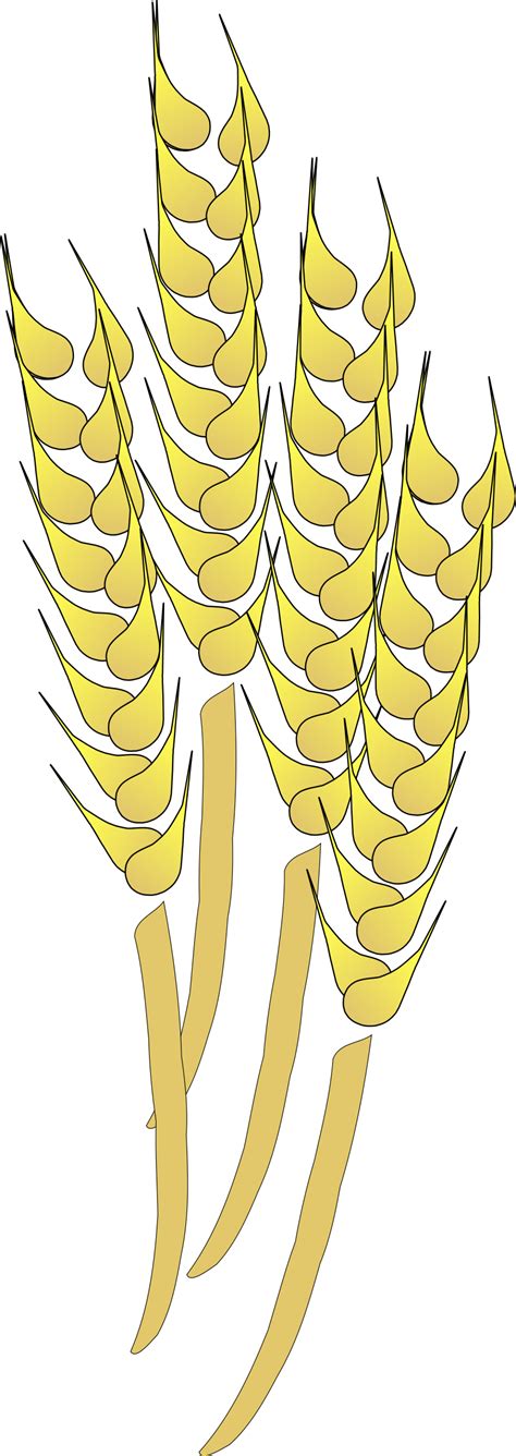 Download Wheat clipart wheat harvest, Wheat wheat harvest ...