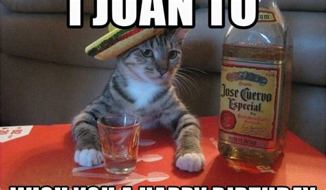 Maybe you would like to learn more about one of these? Funny Spanish Birthday Memes I Juan to Wish You A Happy ...