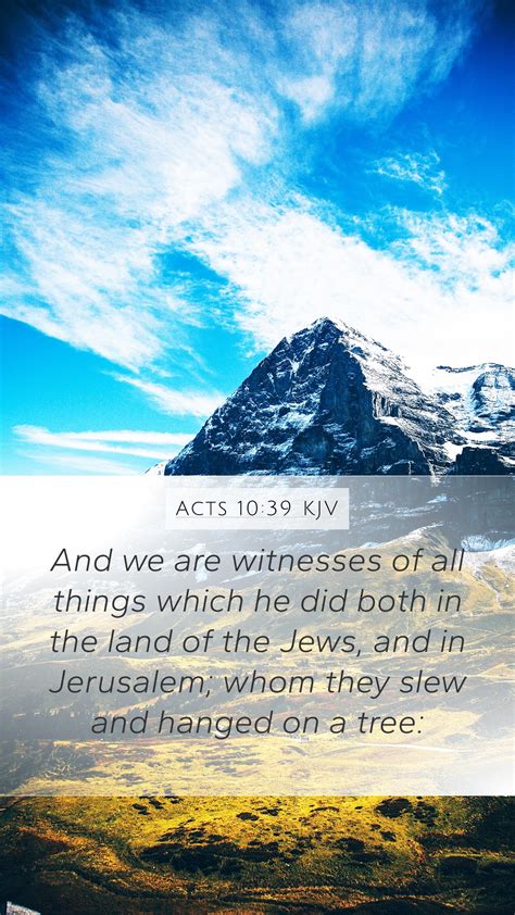Acts 1039 Kjv Mobile Phone Wallpaper And We Are Witnesses Of All