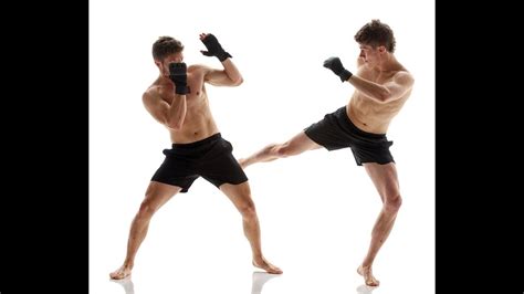 The Leg Kick Your Ultimate Guide To Using The LEG KICK For MIXED MARTIAL ARTS YouTube