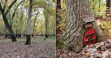15 Of The Strangest Things People Found In The Woods