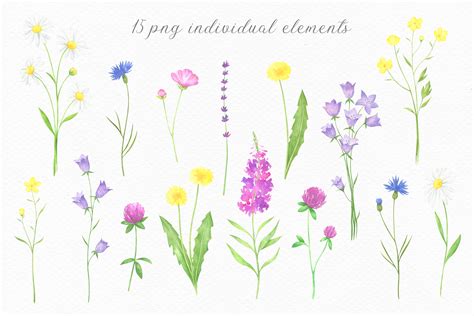 Summer Wildflowers Watercolor Collection By Kristywatercolor