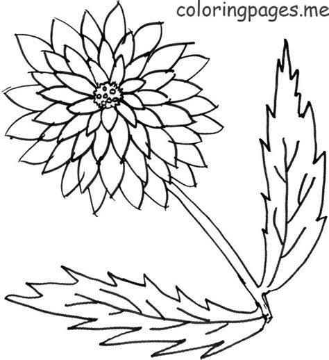 Free coloring pages of treasure chest. Treasure Chest Outline - Coloring Home