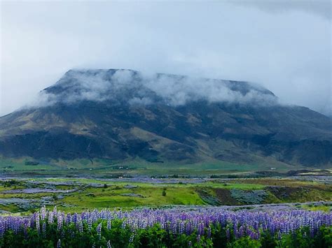 Icelandic Landscape June 2017 Taken On A Trip North Of Reykjavik Oc
