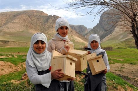 Nature by country in asia Bird boxes Iraqi-style | BirdLife