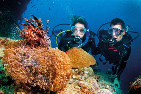 Phu Quoc Snorkeling Diving And Boat Trips