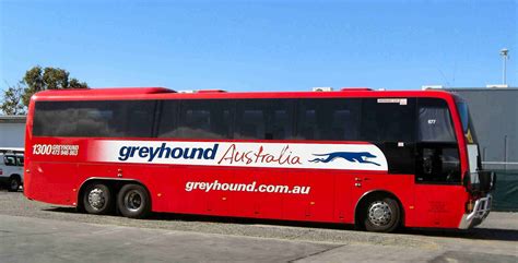 Greyhound Bus Lines Toll Free Number