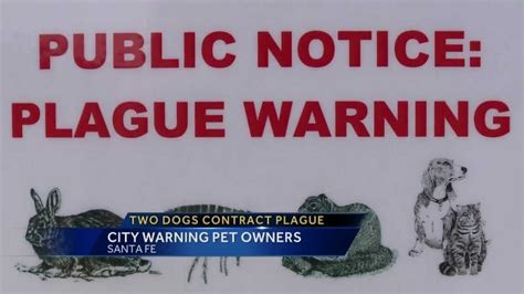 Officials Report 2 More Plague Cases In Santa Fe County