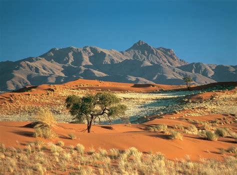 True Cultural Immersion In The Kalahari Deserts Of The World Namib