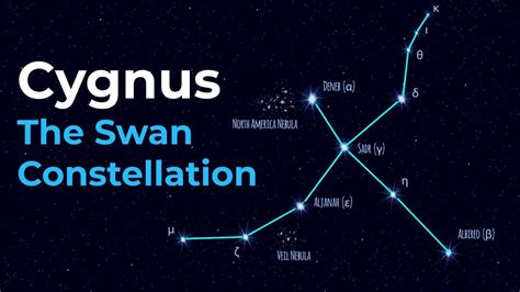 New How To Find Cygnus The Swan Constellation Youtube