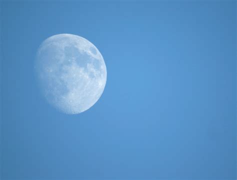 Moon In A Blue Sky Free Stock Photo Public Domain Pictures