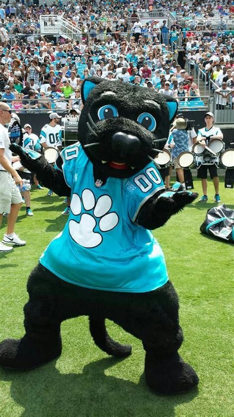 Sir Purr Carolina Panthers Mascot Carolina Panthers Football