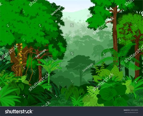 Vector Tropical Rainforest Jungle Background Stock Vector Royalty Free