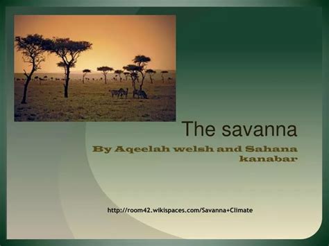 Ppt The Savanna Powerpoint Presentation Free Download Id2582705