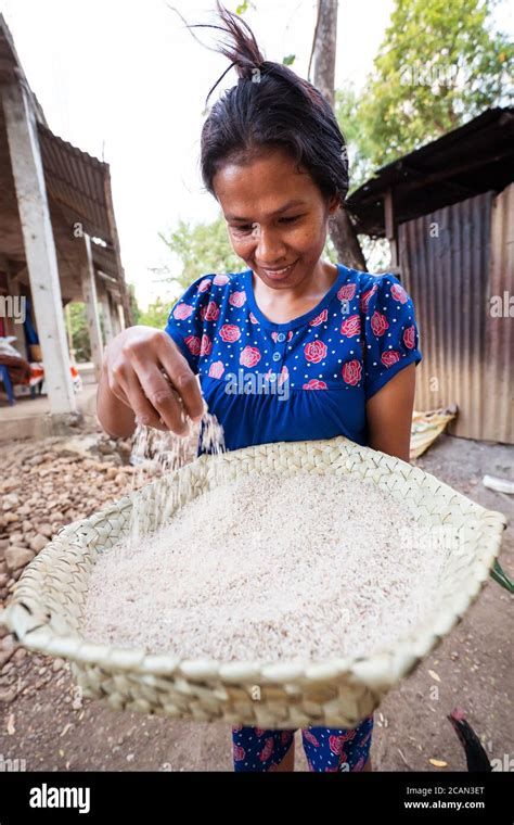 Woman Sifting Rice High Resolution Stock Photography And Images Alamy