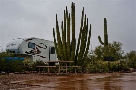Plan your trip to organ pipe cactus national monument. Fun Day at Organ Pipe Cactus National Monument