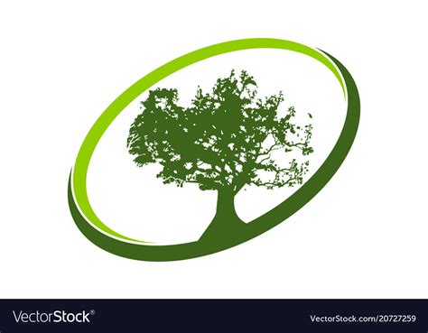 300+ vectors, stock photos & psd files. Oak tree logo design template Royalty Free Vector Image