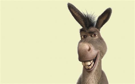 Donkey From Shrek Wallpaper