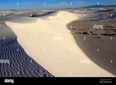 United States New Mexico Gypsum Desert White Sands National Monument