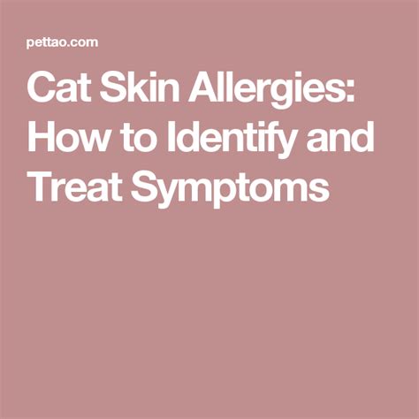 Cat Skin Allergies How To Identify And Treat Symptoms Skin Allergies