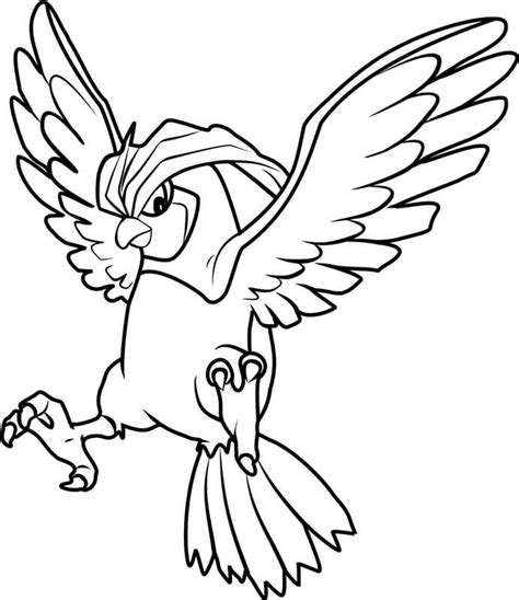 Pidgeot En Pokémon Para Colorear Imprimir E Dibujar Coloringonlycom