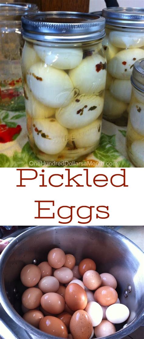 Pickled Eggs Pickled Eggs Recipes Pickling Recipes Egg Recipes Eggs