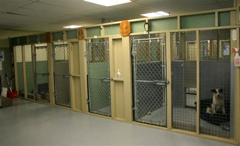 Pound And Adoption Centre Animal Control Services