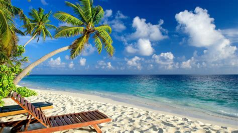 Beach Horizon Palm Tree Sand Sea Sky Tropics 4k Hd Wallpaper