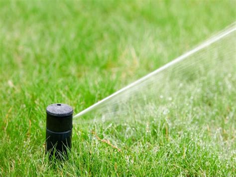 Signs That You Are Overwatering Your Homes Lawn Texas Lawn Sprinklers
