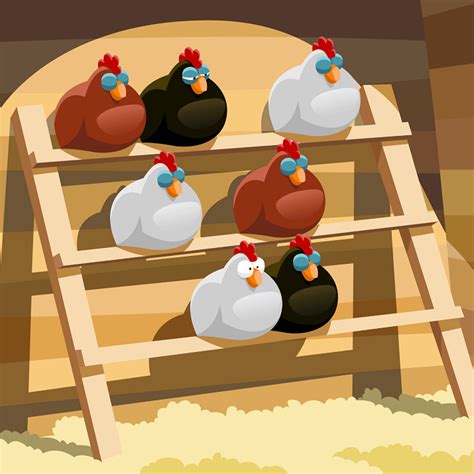 Chicken Roosts What Are Perches And Why Your Hens Need Them The