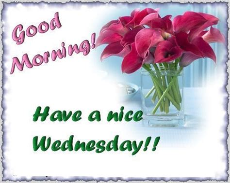 Good Morning Have A Nice Wednesday Pictures Photos And Images For