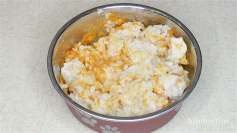 Includes recipe for homemade dog. Home Cooked Recipes For Dogs With Diabetes : 3 : And after ...