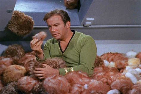 Its The 51st Anniversary Of The Trouble With Tribbles The Mary Sue