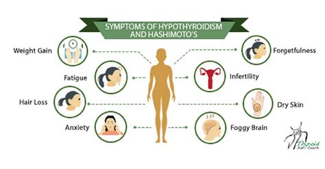 Thyroid Hashimotos Diet