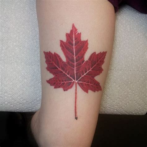 Maple Leaf Tattoo Meaning And Ideas For Men And Women 🍁