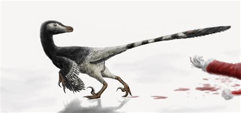 The Christmas Velociraptor By Durbed On Deviantart