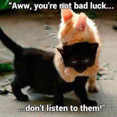 Friday the 13th by dajoaneke(m): 50 Funny Friday The 13th Memes To Ease Your Superstitious ...