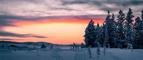 Download Wallpaper 2560x1080 Winter Snow Trees Sunset Horizon Dual