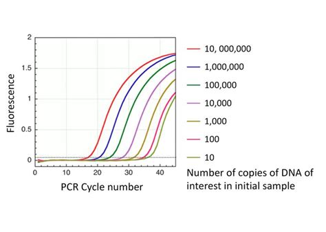 Science Sleuths The Science That Shapes Diagnostic Tests Pcr Qpcr