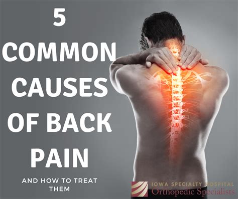 Causes Of Back Pain Back Pain Relief