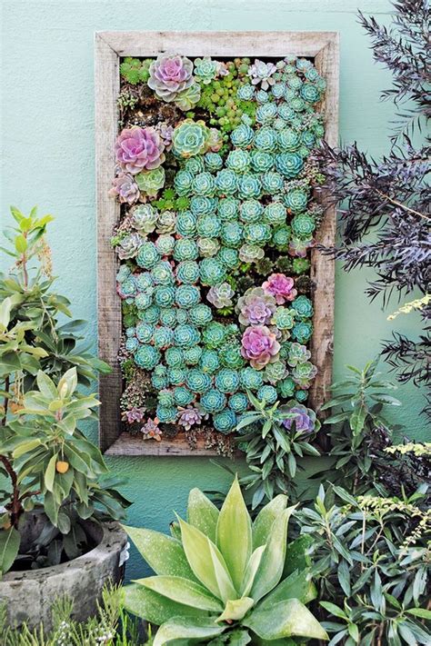 15 Best Succulents Living Walls Ideas For Indoor Vertical Garden In